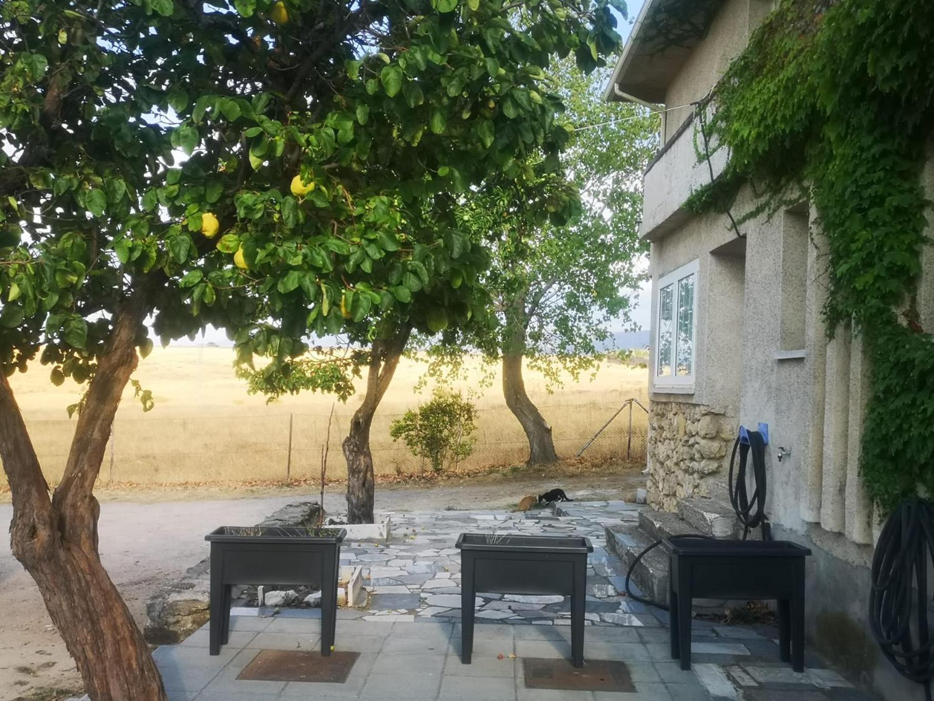 Villa Agradable Casa Con Jardin: Casasola San Cristóbal de Segovia Exterior foto
