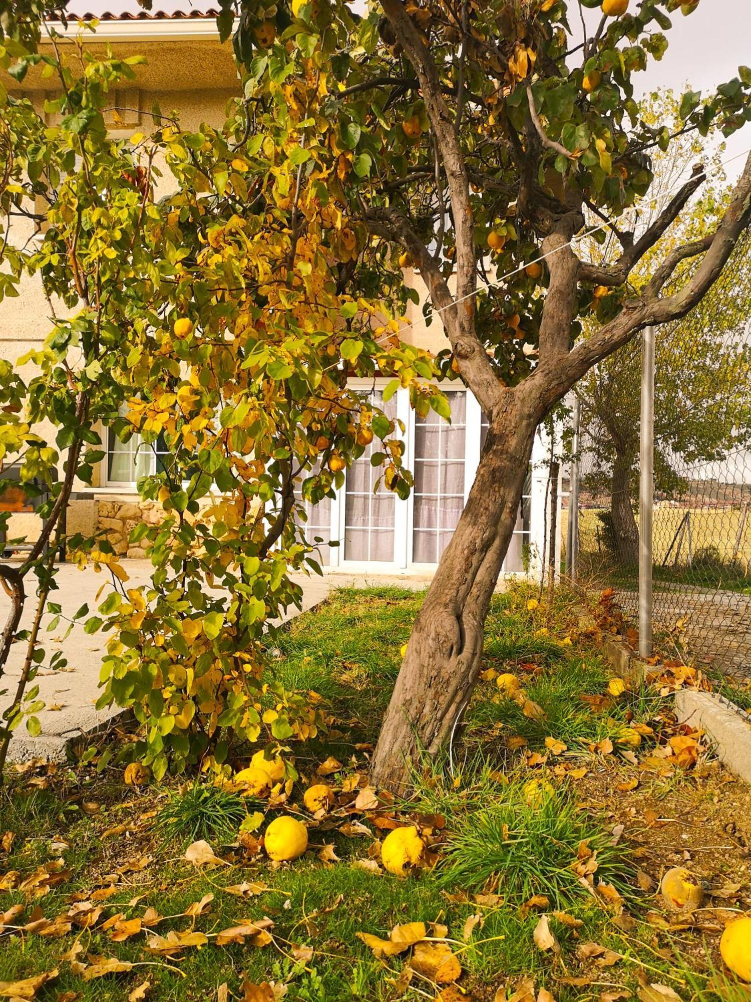 Villa Agradable Casa Con Jardin: Casasola San Cristóbal de Segovia Exterior foto